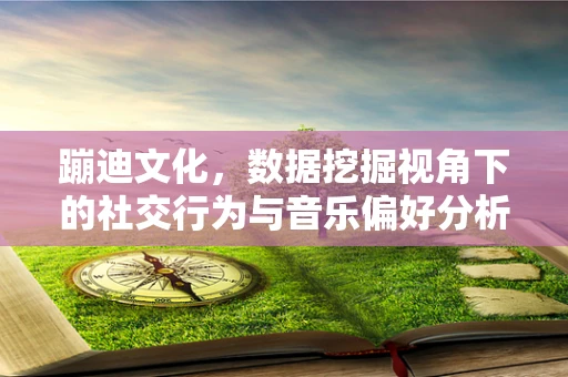 蹦迪文化，数据挖掘视角下的社交行为与音乐偏好分析