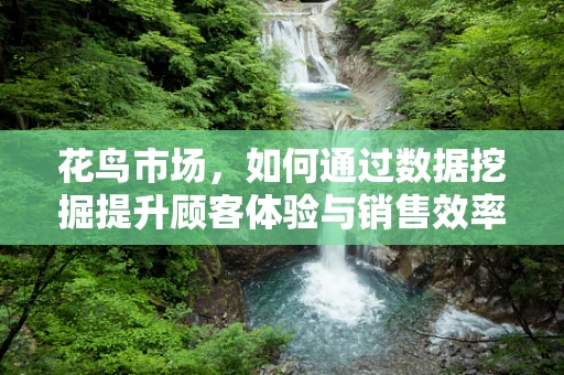 花鸟市场，如何通过数据挖掘提升顾客体验与销售效率？