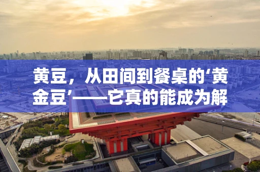 黄豆，从田间到餐桌的‘黄金豆’——它真的能成为解决健康问题的万能药吗？