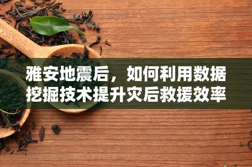 雅安地震后，如何利用数据挖掘技术提升灾后救援效率？