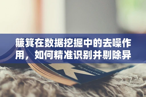簸箕在数据挖掘中的去噪作用，如何精准识别并剔除异常数据？