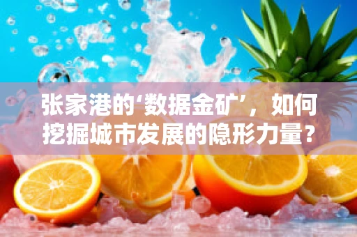 张家港的‘数据金矿’，如何挖掘城市发展的隐形力量？