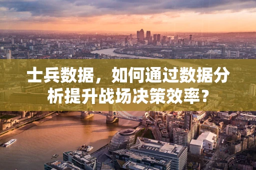 士兵数据，如何通过数据分析提升战场决策效率？