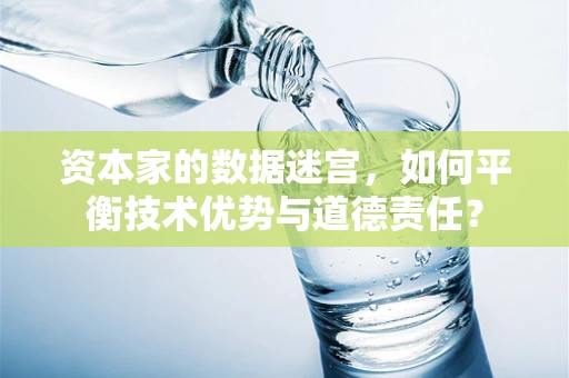 资本家的数据迷宫，如何平衡技术优势与道德责任？