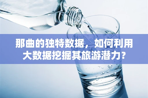 那曲的独特数据，如何利用大数据挖掘其旅游潜力？