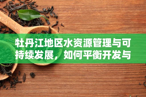 牡丹江地区水资源管理与可持续发展，如何平衡开发与保护？