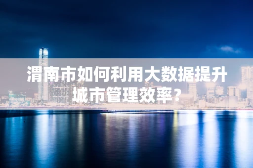 渭南市如何利用大数据提升城市管理效率？