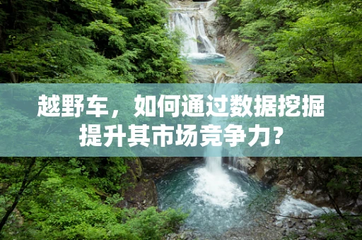 越野车，如何通过数据挖掘提升其市场竞争力？