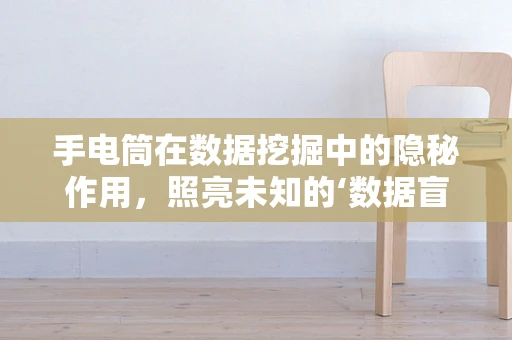 手电筒在数据挖掘中的隐秘作用，照亮未知的‘数据盲区’？