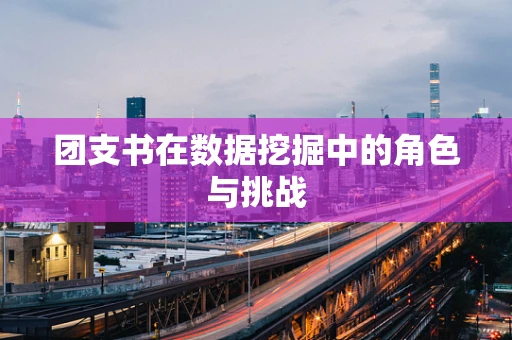 团支书在数据挖掘中的角色与挑战