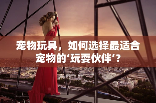宠物玩具，如何选择最适合宠物的‘玩耍伙伴’？
