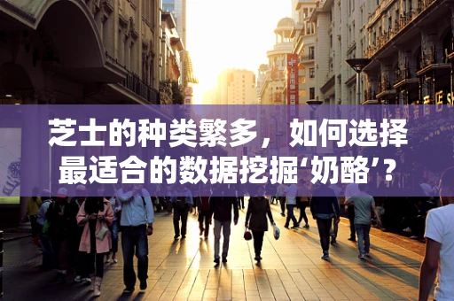 芝士的种类繁多，如何选择最适合的数据挖掘‘奶酪’？
