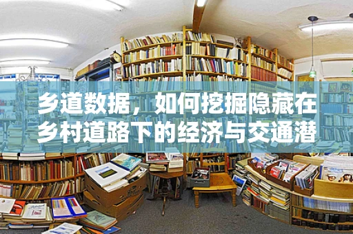 乡道数据，如何挖掘隐藏在乡村道路下的经济与交通潜力？
