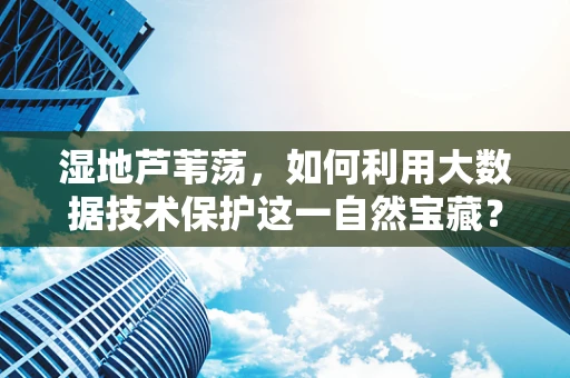 湿地芦苇荡，如何利用大数据技术保护这一自然宝藏？