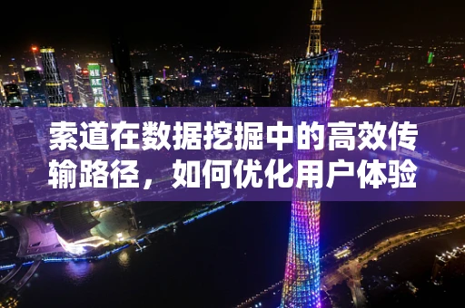 索道在数据挖掘中的高效传输路径，如何优化用户体验？