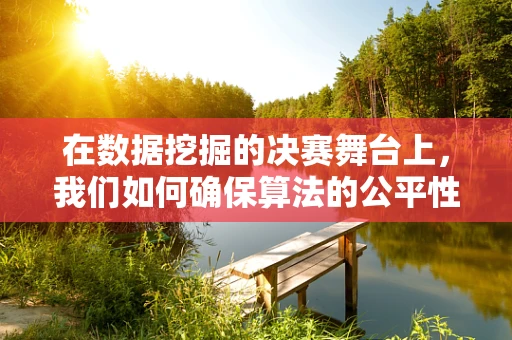 在数据挖掘的决赛舞台上，我们如何确保算法的公平性与效率？