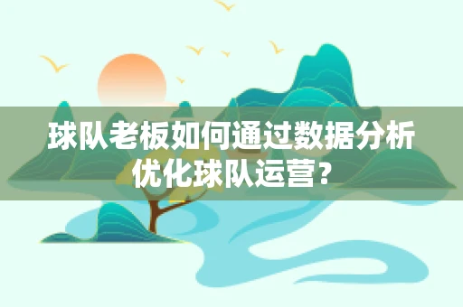 球队老板如何通过数据分析优化球队运营？