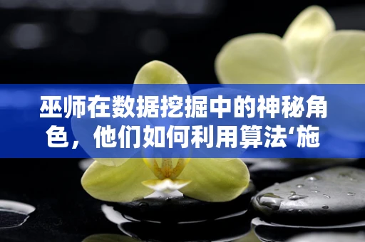 巫师在数据挖掘中的神秘角色，他们如何利用算法‘施法’？