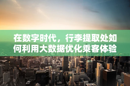 在数字时代，行李提取处如何利用大数据优化乘客体验？