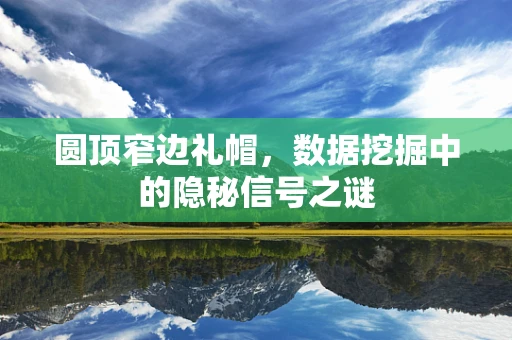 圆顶窄边礼帽，数据挖掘中的隐秘信号之谜