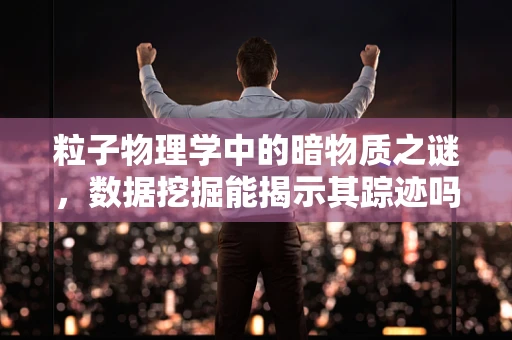 粒子物理学中的暗物质之谜，数据挖掘能揭示其踪迹吗？