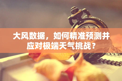 大风数据，如何精准预测并应对极端天气挑战？